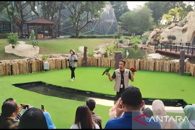 Dua petugas tengah melakukan pertunjukan burung pada kegiatan Media Tour di Taman Burung Jagat Satwa Nusantara, TMII, Jakarta Timur, Selasa (15/8/2023). ANTARA/Syaiful Hakim