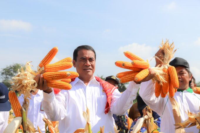 Menteri Pertanian, Andi Amran Sulaiman saat panen jagung di Kelurahan Kemenangan Tani, Kecamatan Medan Tuntungan, Kota Medan. Foto: Humas Kementan
