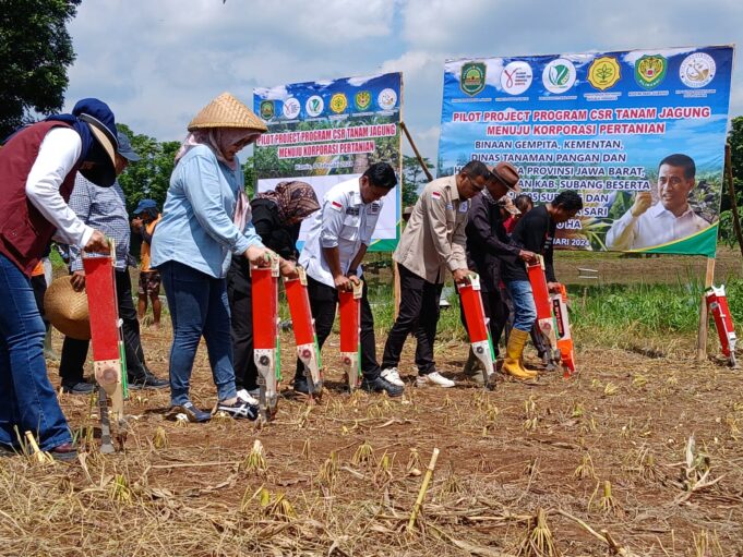 Kegiatan penanaman jagung oleh Kementerian Pertanian (Kementan) mengawal jalanya kegiatan gerakan pemuda tani Indonesia (Gempita) di Desa Gembor, Kecamatan Pagaden, Kabupaten Subang, Jawa Barat