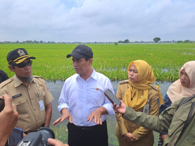 Menteri Pertanian (Mentan), Andi Amran Sulaiman saat meninjau banjir lahan sawah di Kabupaten Demak, Jawa Tengah, Senin (12/2/2024). Foto: Humas Kementan