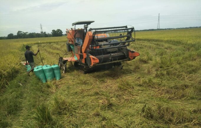 Petani saat melakukan panen padi dengan mekanisasi.