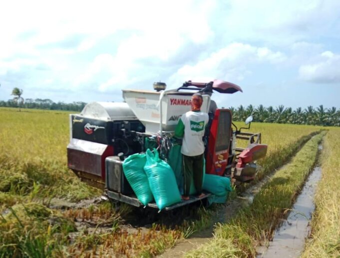 Ilustrasi: Petani melakukan panen padi dengan mekanisasi.