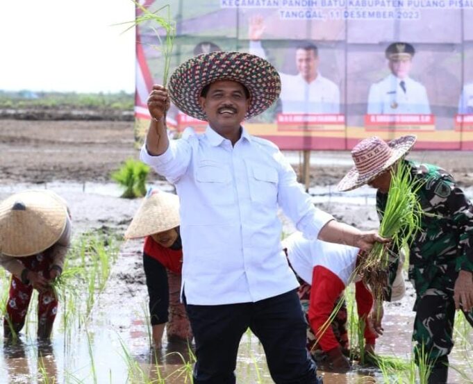 Direktur Jenderal Tanaman Pangan Kementerian Pertanian, Suwandi saat melakukan panen padi bersama petani.