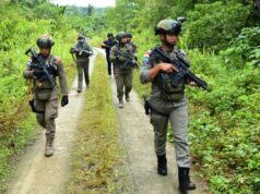 Satgas Damai Cartenz Berhasil Tangkap Komandan KKB Dokoge Paniai