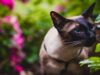 https://www.pexels.com/id-id/foto/fotografi-fokus-dangkal-kucing-mencium-beberapa-daun-1262939/