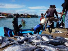 Industri Agro Tarik Investasi hingga Rp85,05 Triliun, Serap 9,8 Juta Tenaga Kerja selama Semester 1 2025 Ilustrasi - Nelayan membongkar muatan tangkapan ikan di Tempat Pelelangan Ikan (TPI) Kota Sorong, Papua Barat.