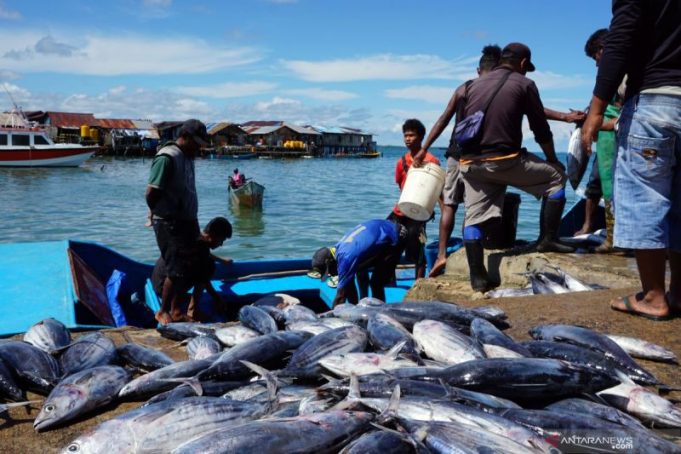 Ilustrasi - Nelayan membongkar muatan tangkapan ikan di Tempat Pelelangan Ikan (TPI) Kota Sorong, Papua Barat.