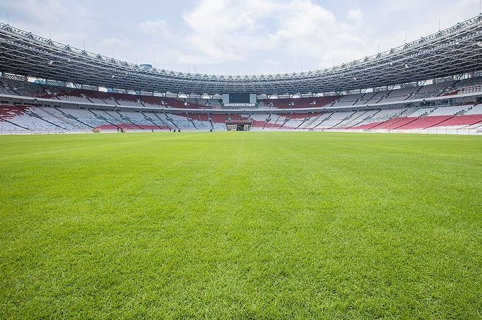 Kondisi rumput lapangan Stadion Utama Gelora Bung Karno (SUGBK) di Senayan, Jakarta, yang difoto pada Jumat (8/11/2024)