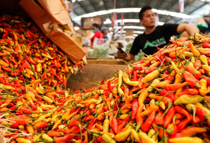 Pedagang mensortir cabai rawit merah di Pasar Induk Kramat Jati