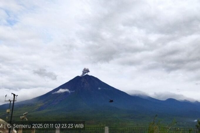 Gunung Semeru erupsi dengan letusan setinggi 600 meter di atas puncak pada Sabtu (11/1/2025) pagi.