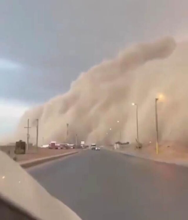 WhatsApp Image 2025-05-02 at 16.41.32