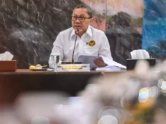 Harga Pakan Naik, Pemerintah Perpanjang SPHP dan CJP untuk Lindungi Peternak Kecil