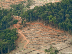 SOROTAN: Ketika Pelayanan Publik Menunggu, Izin Eksploitasi Melaju