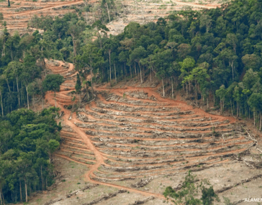 SOROTAN: Ketika Pelayanan Publik Menunggu, Izin Eksploitasi Melaju