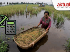 SOROTAN: Agrinas, Pangan Nol-Anggaran Nol-Dukungan Nol