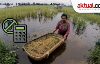 SOROTAN: Agrinas, Pangan Nol-Anggaran Nol-Dukungan Nol