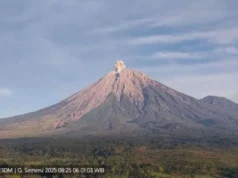 Erupsi Pagi Hari Gunung Semeru Kembali Terjadi Gunung Semeru erupsi dengan tinggi letusan 700 meter di atas puncak pada Senin (25/8/2025) pagi. ANTARA/HO-PVMBG