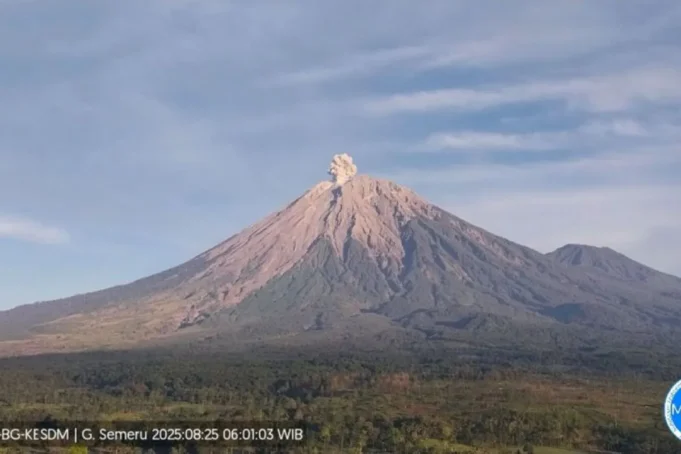 WhatsApp-Image-2025-08-25-at-07.19.43.jpeg Gunung Semeru erupsi dengan tinggi letusan 700 meter di atas puncak pada Senin (25/8/2025) pagi. ANTARA/HO-PVMBG