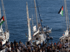 Armada Bantuan Gaza Dikepung Militer Israel di Perairan Internasional Kapal-kapal yang tergabung dalam Flotila Global Sumud (GSF) bersiap untuk berlayar menuju Gaza, Palestina dari pulau Syros, Yunani, Minggu (14/9/2025). /ANTARA/Xinhua/Marios Lolos/aa.