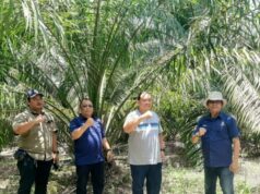 PT Agrinas Palma Nusantara Lakukan Evaluasi Lapangan di PEL-SUS Tanah Merah