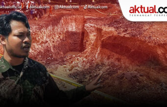 WALHI: Kalsel Alami Darurat Perambahan Hutan, 36 Tambang Tak Kantongi Izin Kehutanan (part-2)