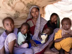 PBB Terus Tingkatkan Dukungan Bagi Pengungsi El Fasher Kantor PBB untuk Koordinasi Urusan Kemanusiaan (Office for the Coordination of Humanitarian Affairs/OCHA) menuturkan situasi kemanusiaan ribuan keluarga yang mengungsi sejak Pasukan Dukungan Cepat (Rapid Support Forces/RSF) mengambil alih El Fasher pada 26 Oktober lalu, sangat memprihatinkan. ANTARA/HO-Xinhua.