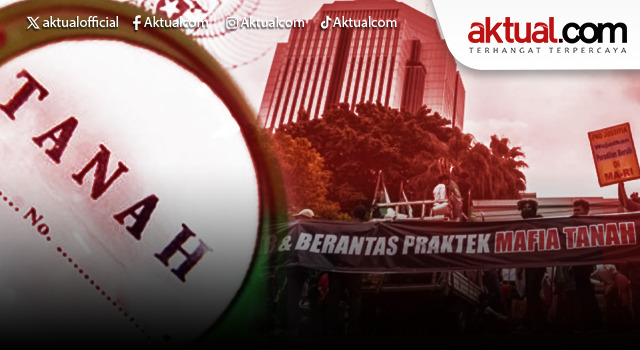 WhatsApp Image 2025-11-25 at 14.02.06