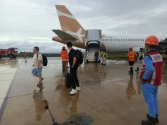 Gagalkan Aksi Ilegal! Satgas Tangkap WNA China Pembawa Nikel di Bandara Khusus IWIP