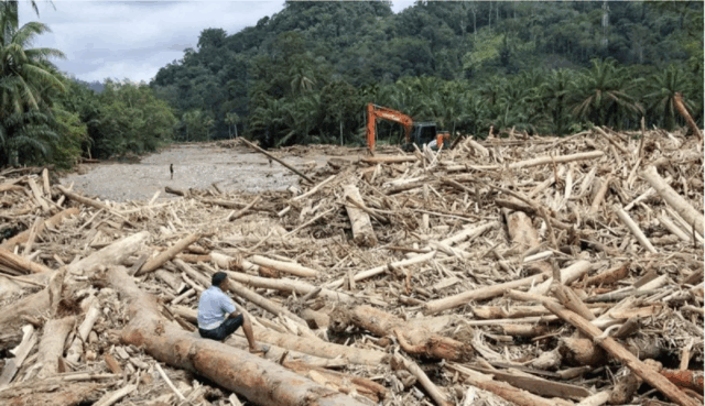 Warga mengamati sampah kayu gelondongan pascabanjir bandang di Desa Aek Garoga, Kecamatan Batang Toru, Kabupaten Tapanuli Selatan, Sumatera Utara, Sabtu (29/11/2025). ANTARA FOTO/Yudi Manar/agr/am.