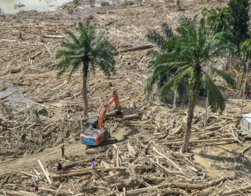 SOROTAN: Banjir Sumatera dan Korupsi Ekologis di Meja Negara Petugas mengoperasikan eskavator untuk membersihkan jalan akses antardesa dari batang-batang kayu gelondongan pascabanjir bandang di Desa Tanjung Karang, Karang Baru, Kabupaten Aceh Tamiang, Aceh, Minggu (7/12/2025). Akses penghubung Desa Tanjung Karang dan Desa Menang Gini yang sempat tertutup tumpukan kayu gelondongan akhirnya bisa terbuka usai pemerintah mengerahkan alat berat untuk pembersihan sehingga mobilitas masyarakat, termasuk distribusi bantuan menjadi bisa dilakukan. ANTARA FOTO/Erlangga Bregas Prakoso/app/nz