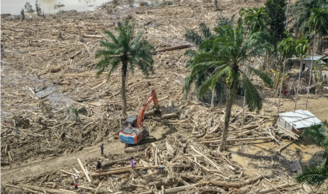 Petugas mengoperasikan eskavator untuk membersihkan jalan akses antardesa dari batang-batang kayu gelondongan pascabanjir bandang di Desa Tanjung Karang, Karang Baru, Kabupaten Aceh Tamiang, Aceh, Minggu (7/12/2025). Akses penghubung Desa Tanjung Karang dan Desa Menang Gini yang sempat tertutup tumpukan kayu gelondongan akhirnya bisa terbuka usai pemerintah mengerahkan alat berat untuk pembersihan sehingga mobilitas masyarakat, termasuk distribusi bantuan menjadi bisa dilakukan. ANTARA FOTO/Erlangga Bregas Prakoso/app/nz