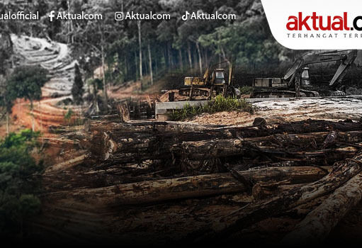 SOROTAN: Ketika Pelayanan Publik Menunggu, Izin Eksploitasi Melaju