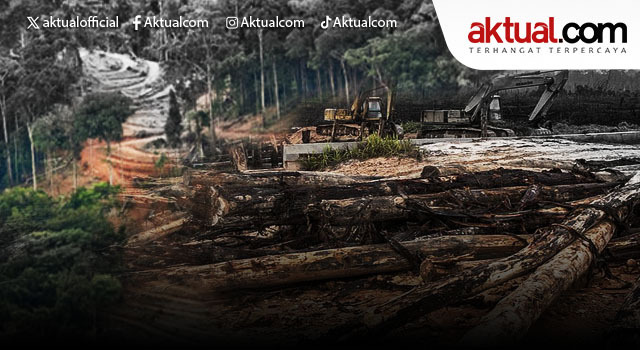 WhatsApp Image 2025-12-12 at 12.16.23