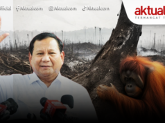 SOROTAN: Hutan yang Menangis, Negara yang Optimistis