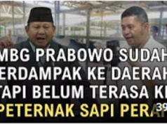 MBG Belum Berdampak bagi Peternak Sapi, Harga Stagnan, Pengamat: BGN Harus Terima Susu Koperasi!