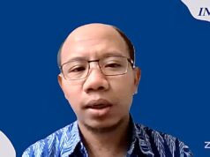 INDEF Ingatkan Peran Danantara di Pasar Saham, Jangan Jadi Investor Darurat