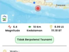 BMKG: Gempa Pacitan Tipe Megathrust Dangkal, Beruntung Tak Picu Tsunami Infografis BMKG terkait gempa yang berpusat di tenggara Pacitan. ANTARA/HO - BMKG