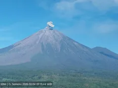 Gunung Semeru Erupsi Tujuh Kali dalam Tiga Jam, Tinggi Letusan Capai 800 Meter Gunung Semeru kembali erupsi dengan tinggi letusan mencapai 800 meter di atas puncak pada Rabu (4/2/2026) pagi. ANTARA/HO-PVMBG
