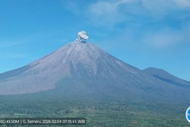 WhatsApp-Image-2026-02-04-at-09.46.39.jpeg Gunung Semeru kembali erupsi dengan tinggi letusan mencapai 800 meter di atas puncak pada Rabu (4/2/2026) pagi. ANTARA/HO-PVMBG