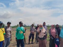 Merasa Dirugikan, Warga Terdampak Keluhkan Pembangunan Bandara PT Harita Nickel di Halmahera Selatan