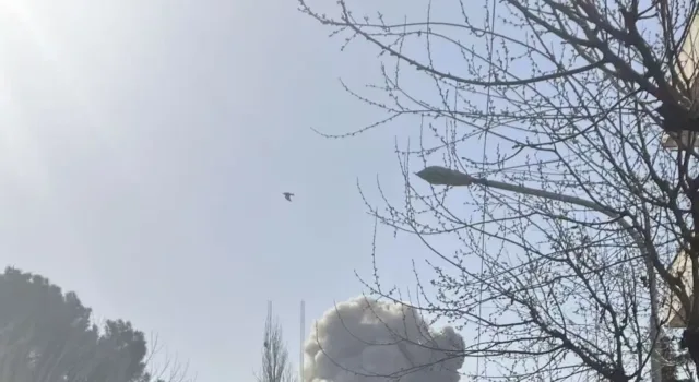 SANAA, 28 Februari (Xinhua) -- Pemimpin Houthi, Abdulmalik al-Houthi, pada Sabtu (28/2) malam waktu setempat mengatakan kelompoknya menyatakan solidaritas penuh dengan Iran dan "sepenuhnya siap menghadapi segala perkembangan." Abdulmalik juga menyerukan kepada para pendukungnya untuk menggelar demonstrasi massal di Sanaa dan provinsi-provinsi lainnya.