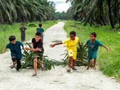 PASPI: Pengembangan SDM Jadi Kunci Keberlanjutan Industri Sawit