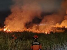 BNPB Laporkan Kebakaran Hutan, Longsor, dan Banjir di Sejumlah Daerah Hingga 9 April