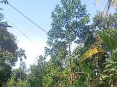 Warga Beri Contoh Kepala Desa, Sekaligus Kritik Nyata Pembangunan Jalan Cor Beton Pakai Dana Sendiri