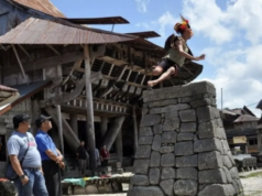 Pemprov Sumut Usulkan Desa Bawomataluo Jadi Warisan Dunia UNESCO, Siapkan Dokumen Nominasi Pelompat batu melompati tumpukan batu setinggi 2,1 meter untuk difoto bersama para turis mengunjungi desa cagar budaya nasional Bawomataluo, Kecamatan Fanayama, Kabupaten Nias Selatan, Sumatera Utara, Sabtu (9/3/2019). Hombo (lompat) batu dalam bahasa suku Nias merupakan salah satu ciri khas budaya dari Nias Selatan yang berasal dari tradisi latihan perang pada masa kerajaan. ANTARA FOTO/Septianda Perdana
