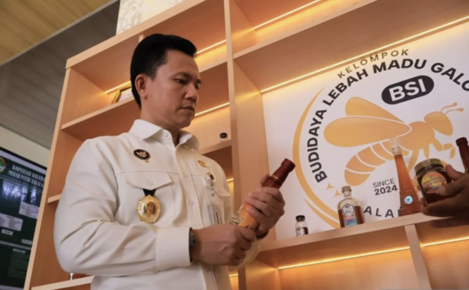 Arsip-Pengunjung melihat produk Kopdes Merah Putih madu kelulut di Kota Padang, Sumatera Barat. ANTARA/Muhammad Zulfikar