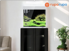 3 Ornamen Akuarium yang Mempercantik Sudut Rumah
