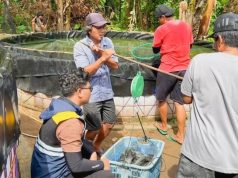 Alasan Pulau Penebang Jadi Proyek Strategis Nasional