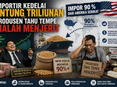 Harga Kedelai Meroket, Produsen Tahu Tempe Menjerit Importir Malah Cuan Rp12,9 Triliun: 90 Persen Impor dari AS